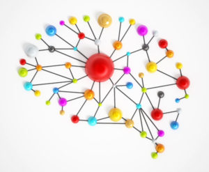 Brain network
